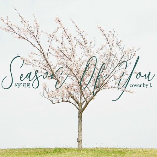 Season of You ทุกฤดู (cover by J.) English - Indonesian version