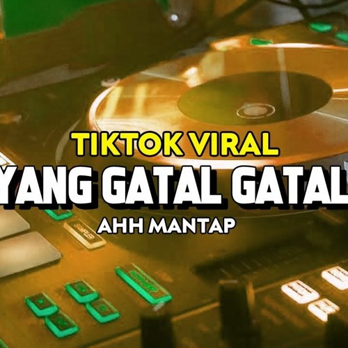DJ TARIK SIS X AHH MANTAP X DE YANG GATAL - GATAL SA (BUKAN PHO)