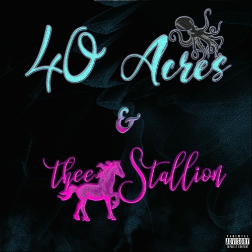 40Acres & The Stallion (Megan Thee Stallion- Do it on the tip Remix)Prod. by Dices