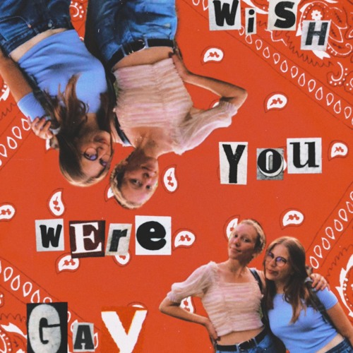 Billie Eillish - Wish You Were Gay (cover)