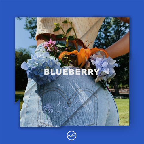 Pink Sweat$ Type Beat Blueberry Sweet Guitar R&B Instrumental 2020