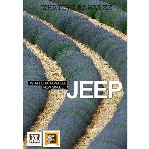 Jeep cover