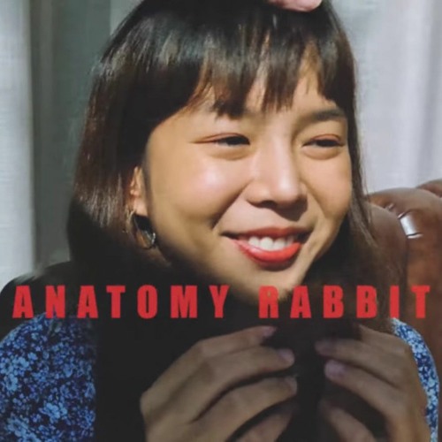 ธรรมดาแสนพิเศษ - anatomy rabbit