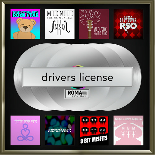 drivers license (8-Bit Version)