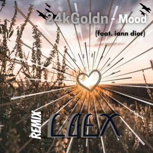24kGoldn - Mood (feat. iann dior) Laex Remix