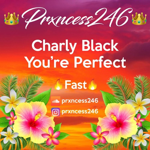 Charly Black - You're Perfect - Fast