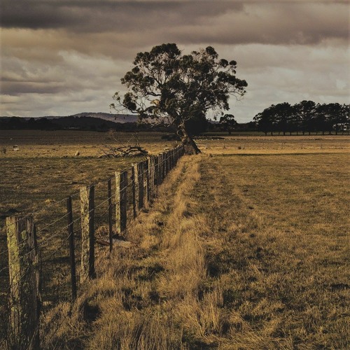 Take Me Home Country Roads (John Denver Cover) by WONHO