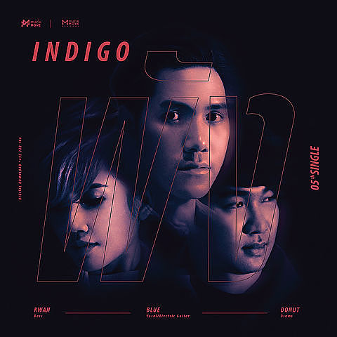 Indigo - พัง