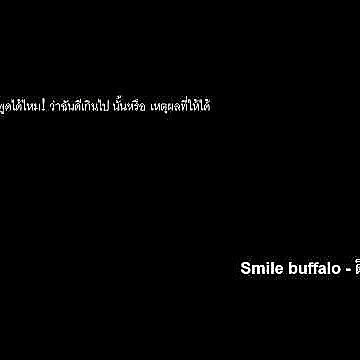 Smile buffalo - ดีเกินไป