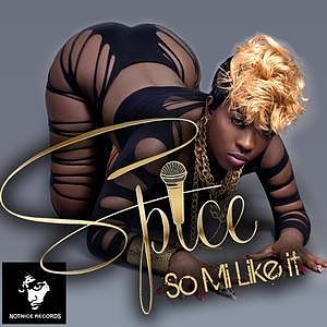 Spice - So Mi Like It Official Album Audio