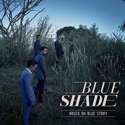 Blue Shade - ไม่เคยจากไปจริงๆ (Blue story) Official Audio