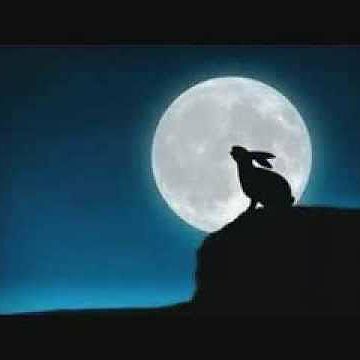 กระต่ายหมายจันทร์ - พิทักษ์