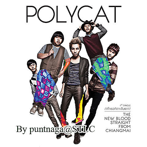 Polycat - ถ้าเธอคิดจะลืมเขา